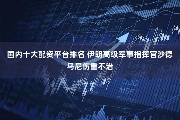 国内十大配资平台排名 伊朗高级军事指挥官沙德马尼伤重不治