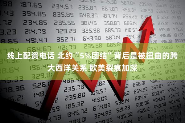 线上配资电话 北约“5%团结”背后是被扭曲的跨大西洋关系 欧美裂痕加深