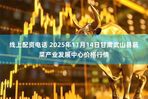 线上配资电话 2025年11月14日甘肃武山县蔬菜产业发展中心价格行情