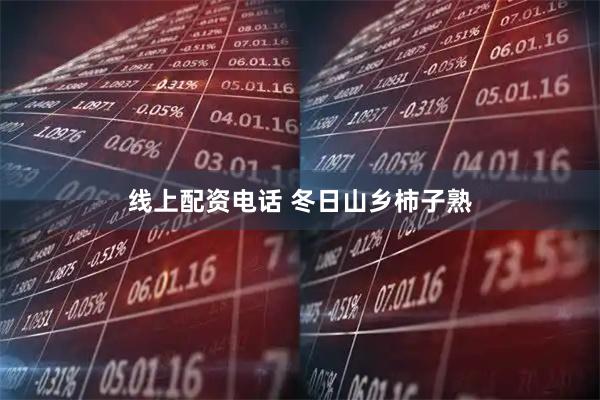 线上配资电话 冬日山乡柿子熟